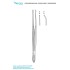 Cushing Tissue Forceps, 18cm, 1X2 Teeth